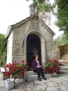 16480843712_a8d1ce8ac4_o