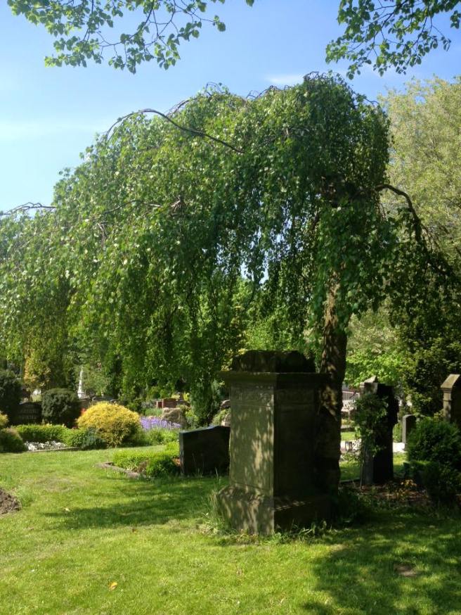 13232946_1058299970875508_803407600910206336_n