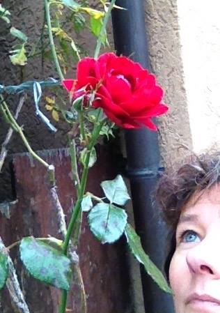 11225218_1180278885344282_3322195900583348090_n