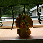 16295574017_17d51b9636_q