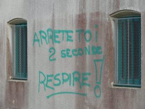 528713_370686679636844_703630990_n