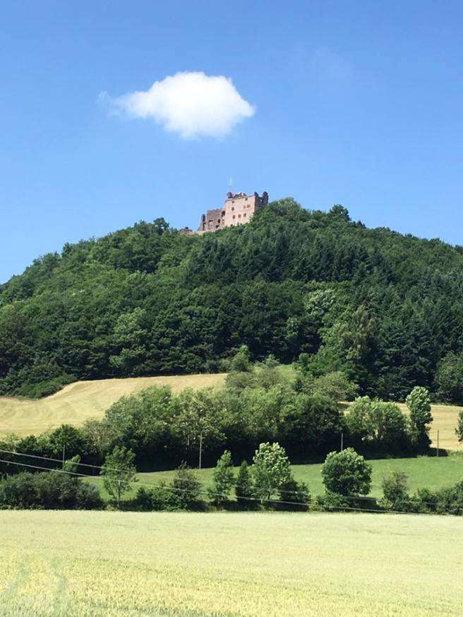 19106069_1407210952651073_4378114755017492746_n