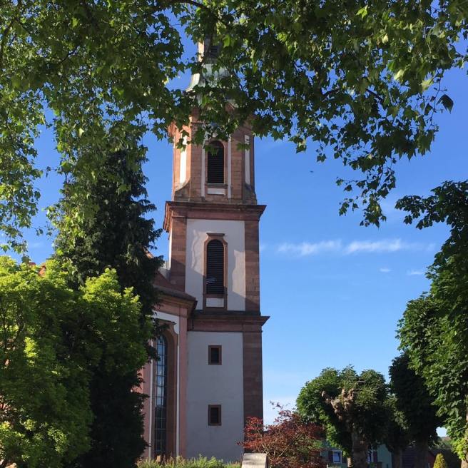 19113676_1405343426171159_4661213716827570939_n