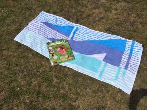 19511152_1419147051457463_5531397834606321033_n