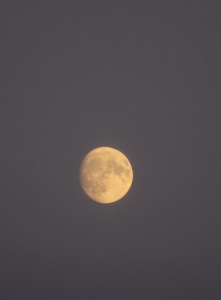 38765905341_045ae423ac_h