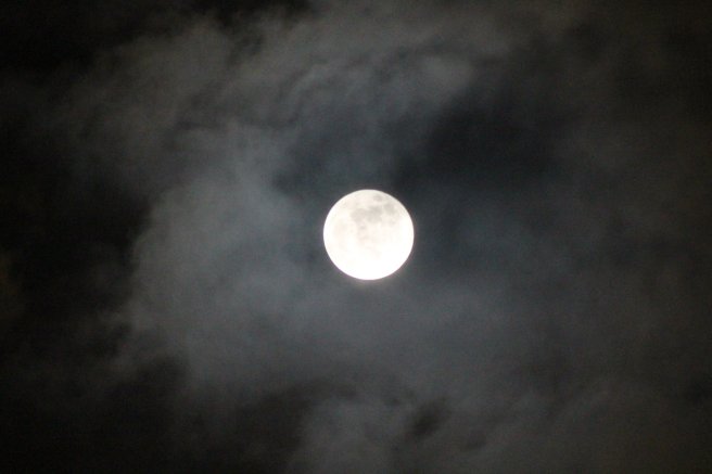 27369019_1619475251424641_4169261165426000239_o