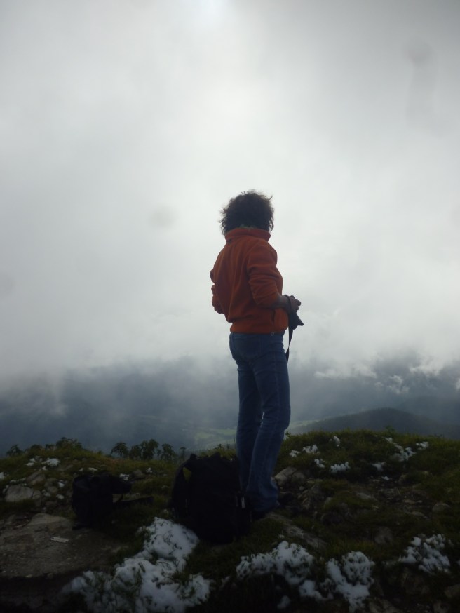 30258218465_d7c3980ef9_o