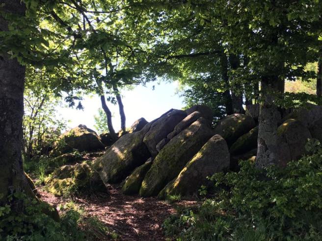 32257444_1721191847919647_5672974949824856064_n