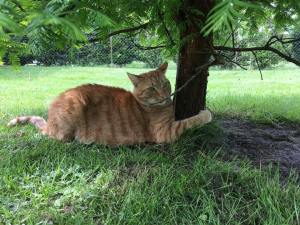 32935648_1728471657191666_1000428793841582080_n