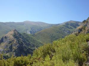 1115946_577720238933486_1785920012_o