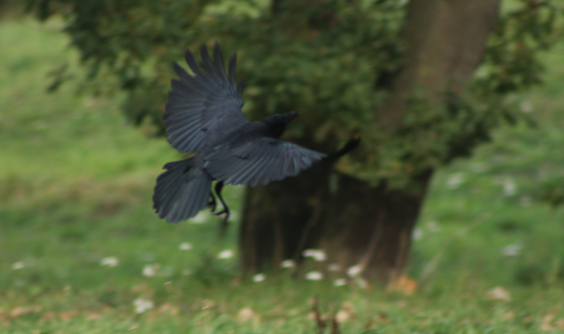 43846707700_d4824722a5_o