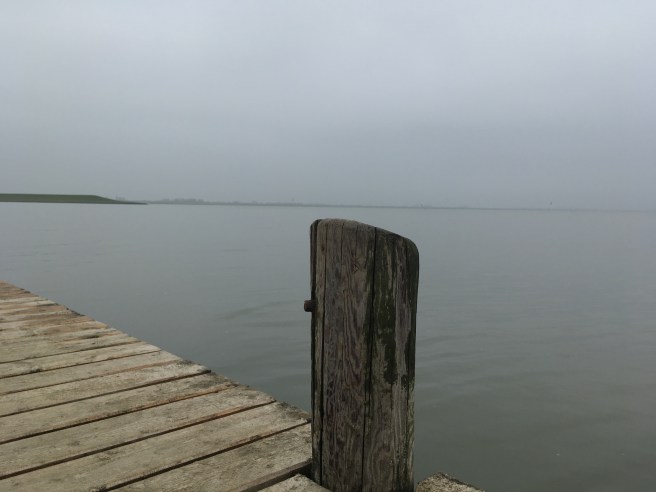 45007937544_1215c2a7ee_o