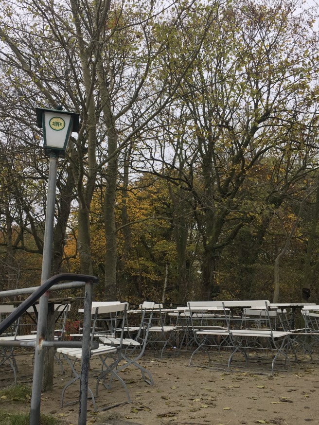 45733104851_2180a47e0c_o