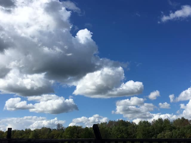 59373824_2221066474598846_4664425468043198464_n