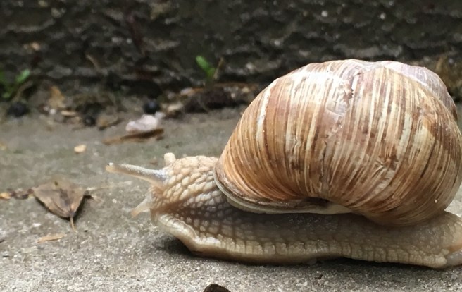 C5664540-4682-4D65-971B-B73B098806F5