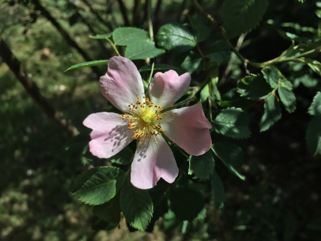 4E9DE6CB-FBA8-4492-A7AE-A78CC2E9EE30