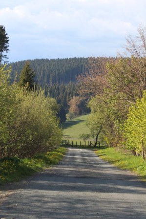 60456558_2233419913363502_7650077631739592704_o