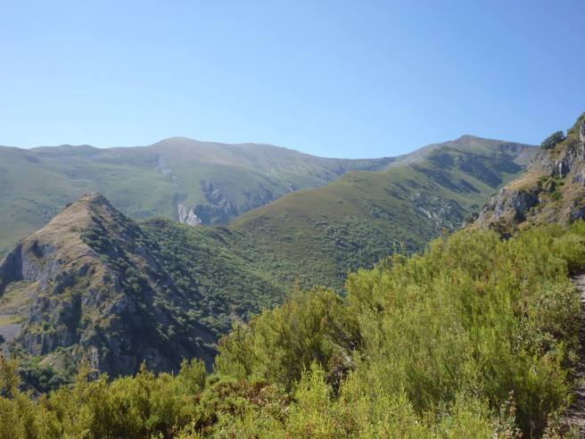 1115946_577720238933486_1785920012_o