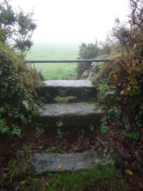 48248114446_e62220ac14_z