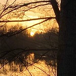 49304629108_d1ccebf4f7_q