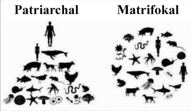 74570964_2491842001052471_4386555867269431296_n