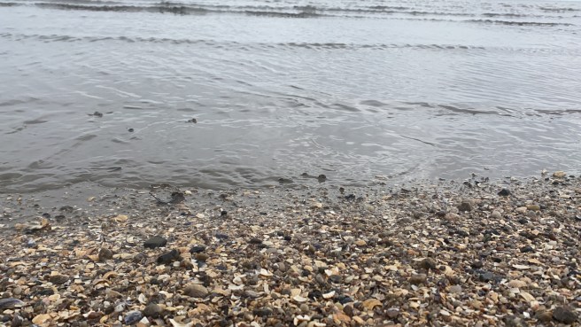 342AD71A-2C9A-4277-95BE-64825EEABF91