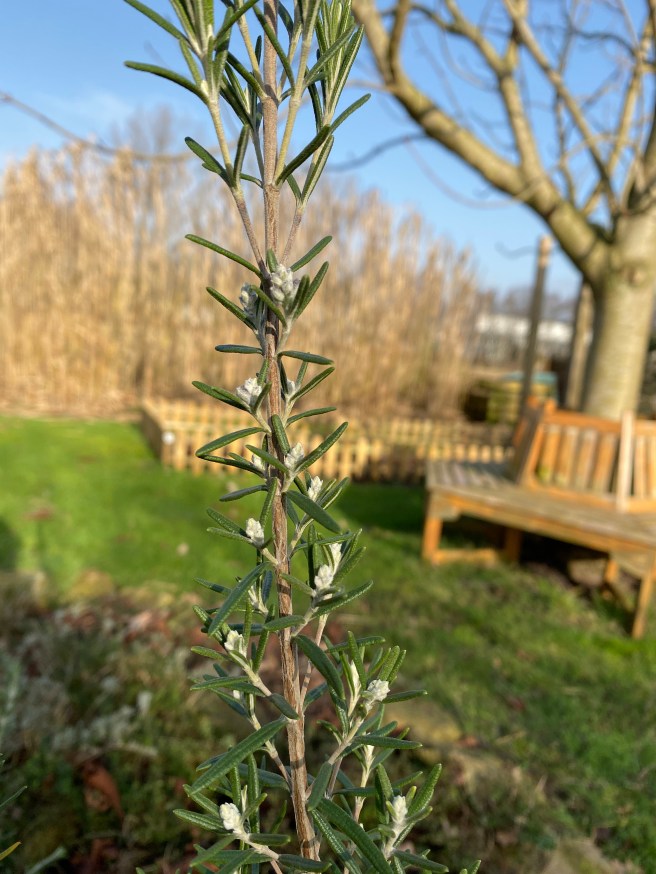 49505342121_aec2e27004_4k