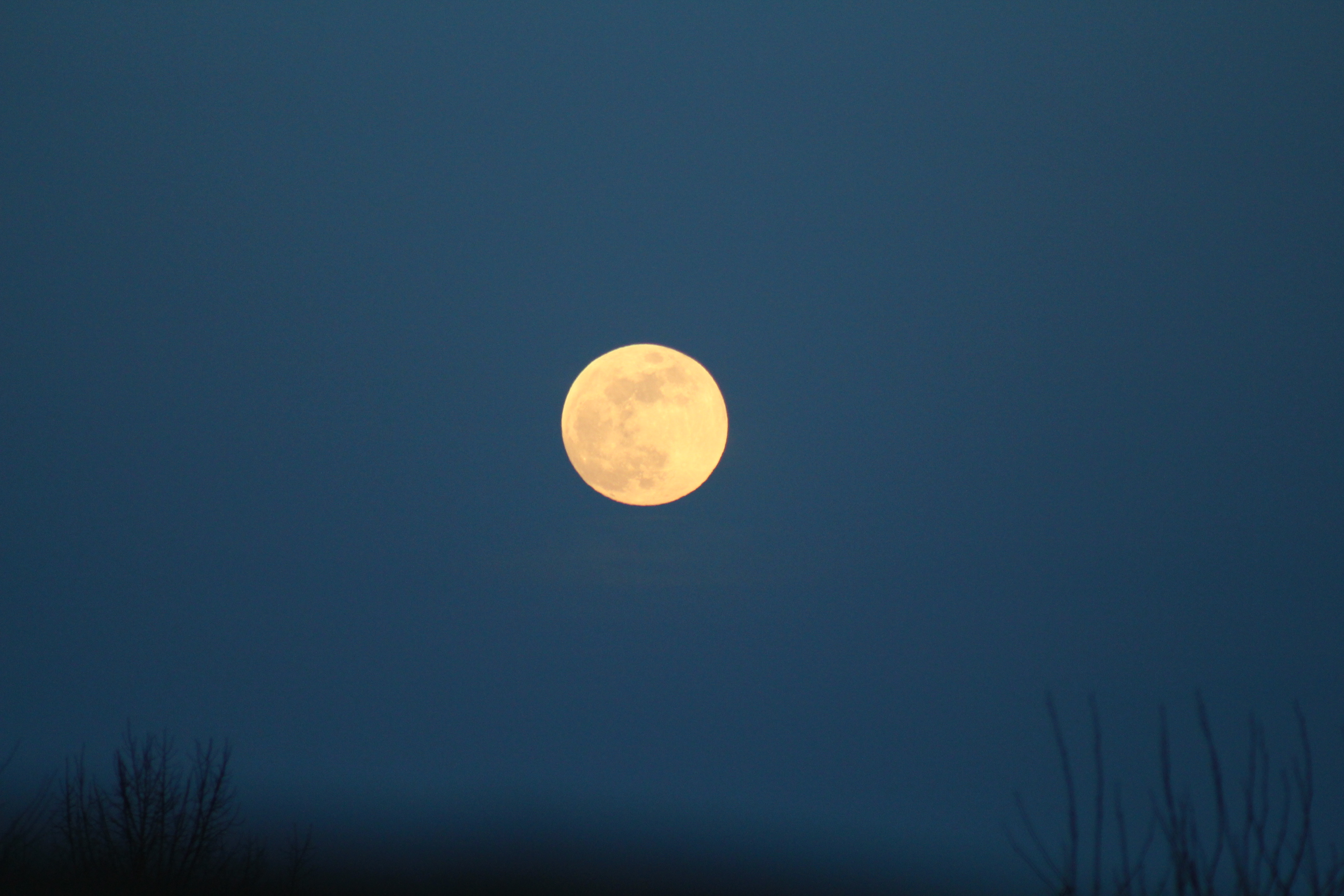 38748121210_1d33c563d6_o