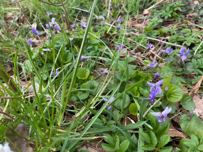 89070472_2838185976220223_3645217436505997312_n