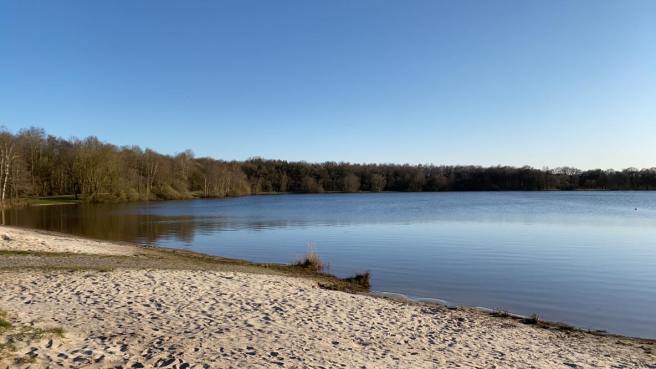 90871671_1271862049677753_4869644764997222400_n