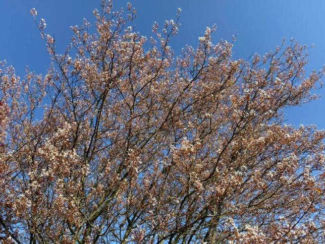 91919114_2887539927951494_904709237127512064_n