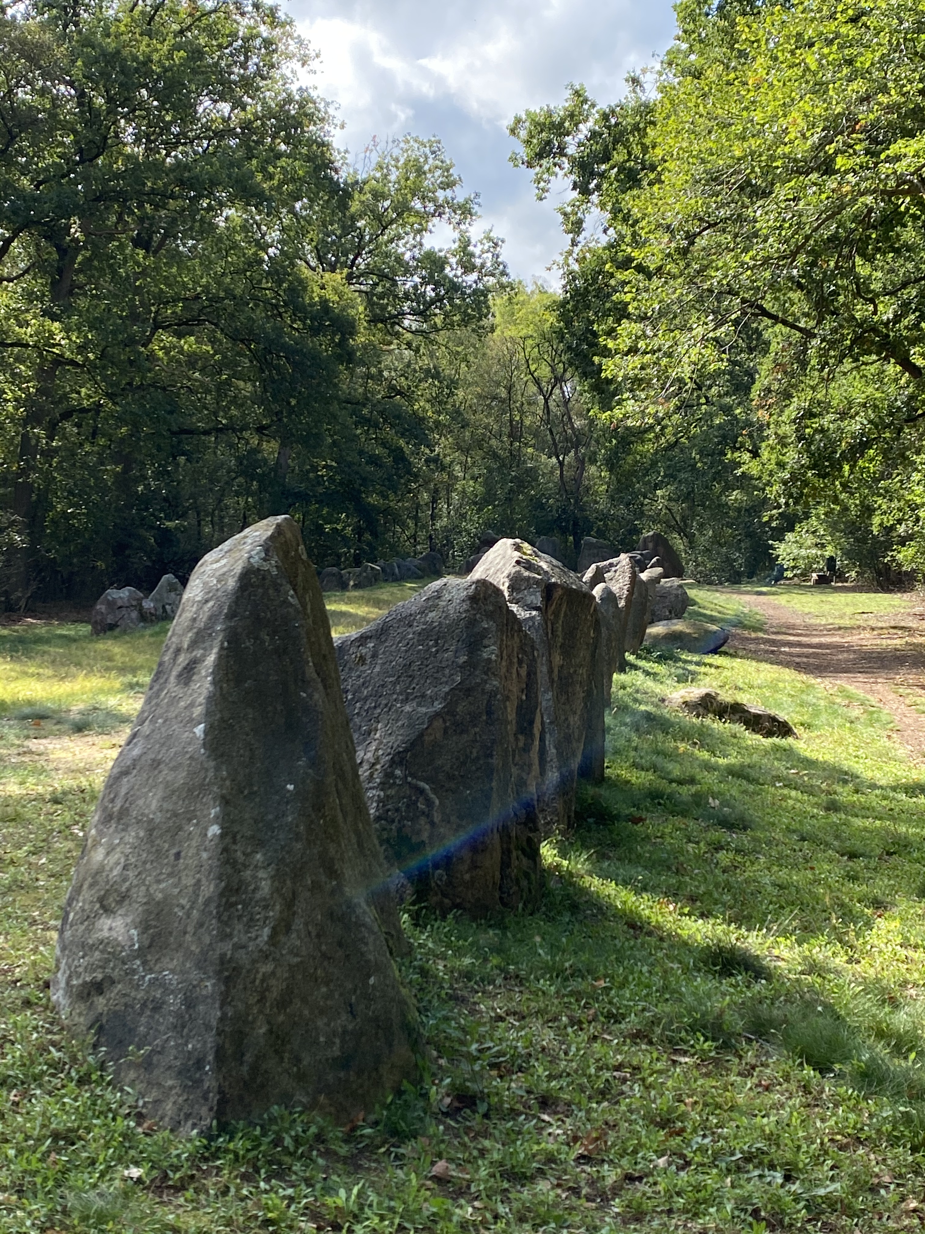 50382645596_f118f2f003_o