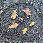 50522584998_da536d5e90_q