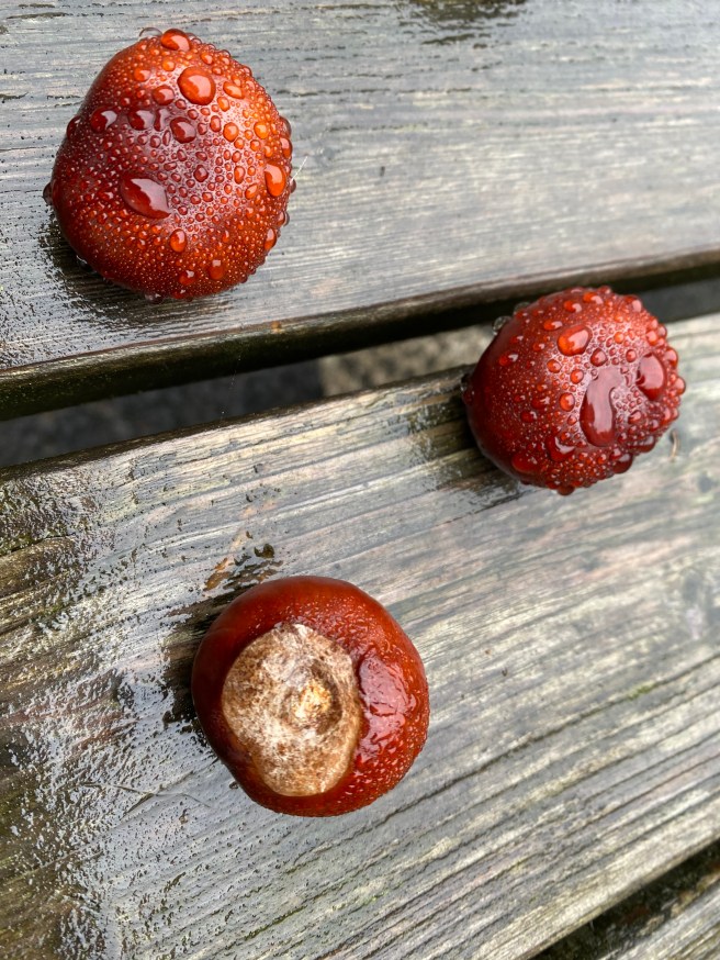 53C7A4C7-6919-47C7-928A-7AF7FFA91D2A