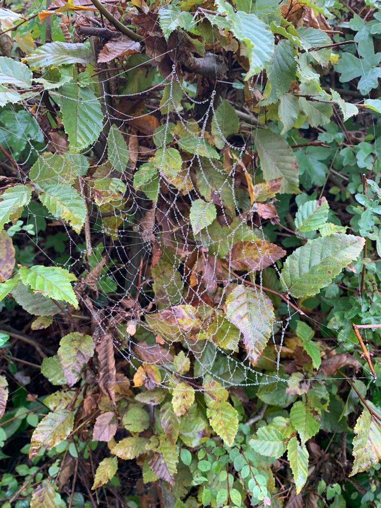 87FD1BC0-2086-4FE0-BE3B-4DDAE3A5039A