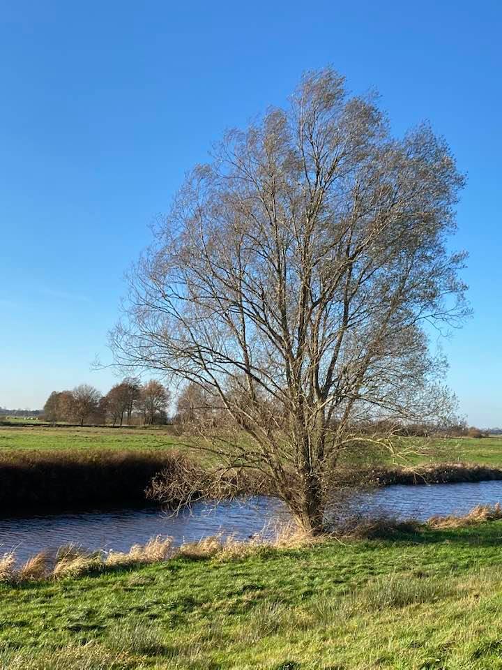 126046033_3538041622901318_6826478863271245674_n