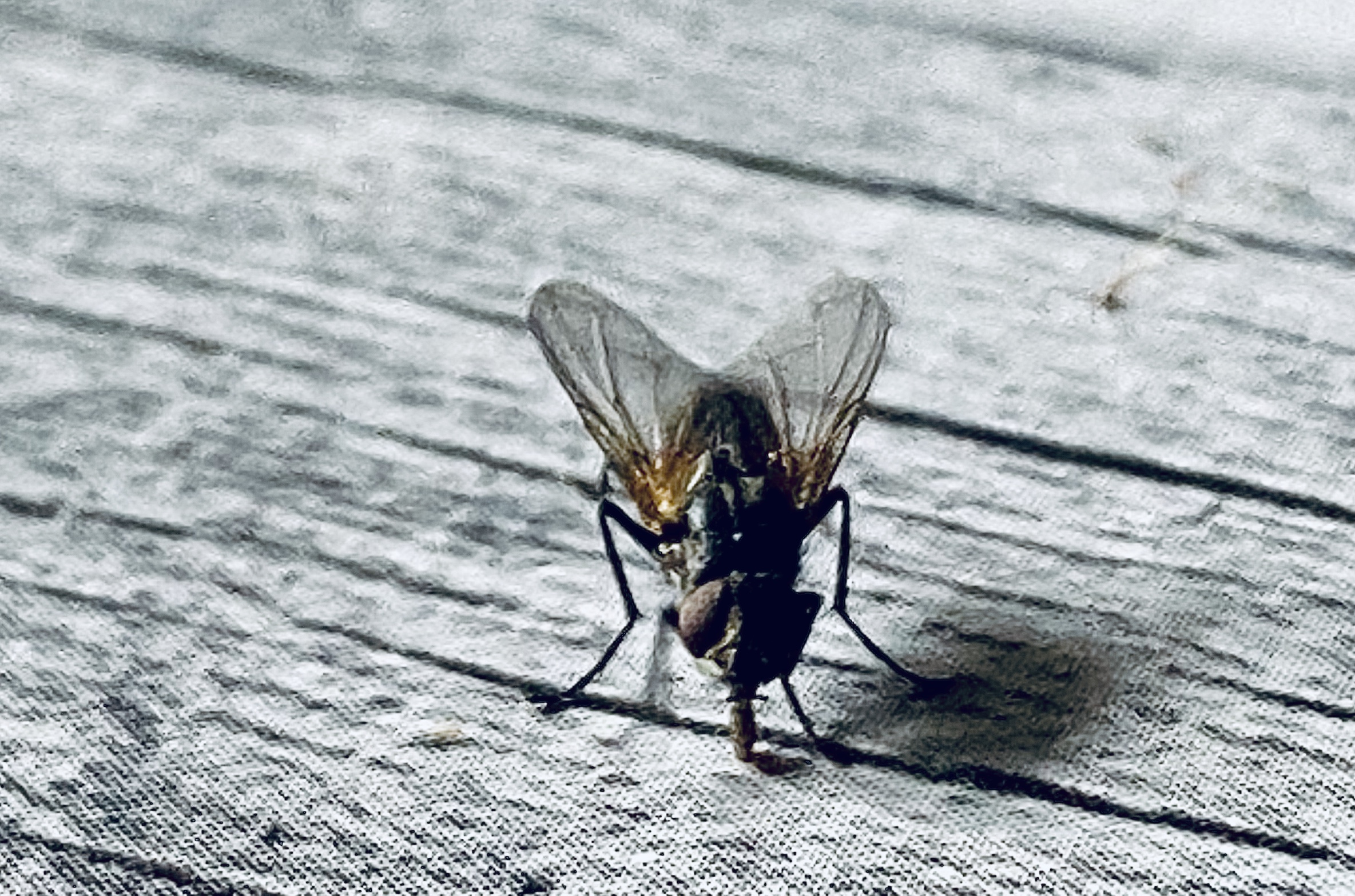 A89EB4E7-A473-431E-9CCA-1C8BC70C76B6