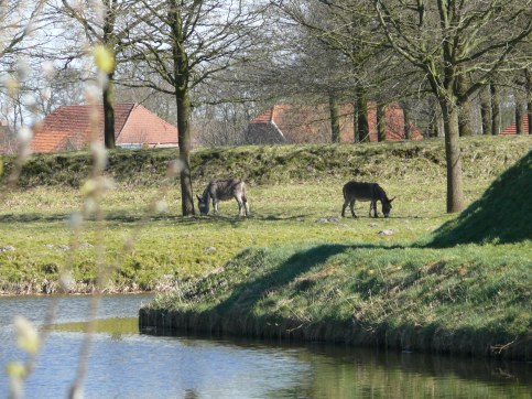 17017130536_6b1b7f5b23_o