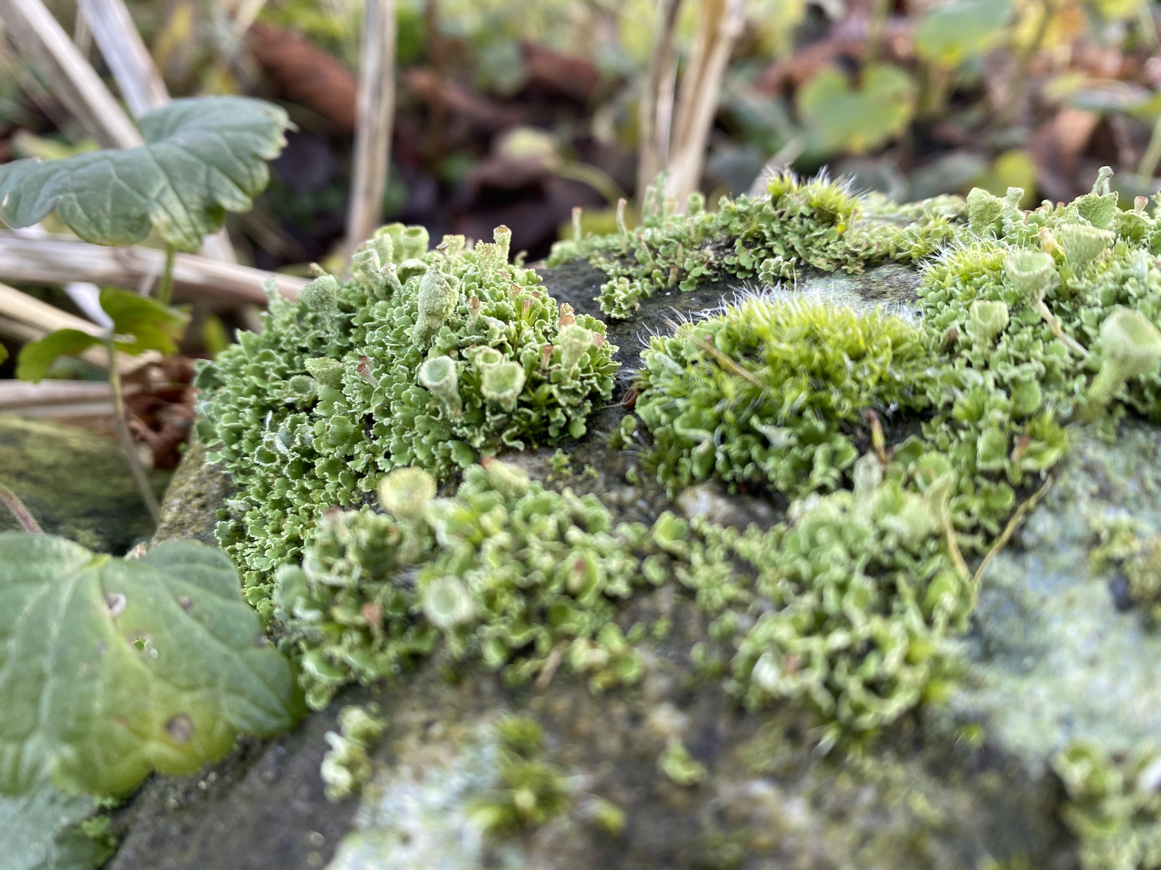 3024B290-A416-40F8-BF99-5926985CA5F1