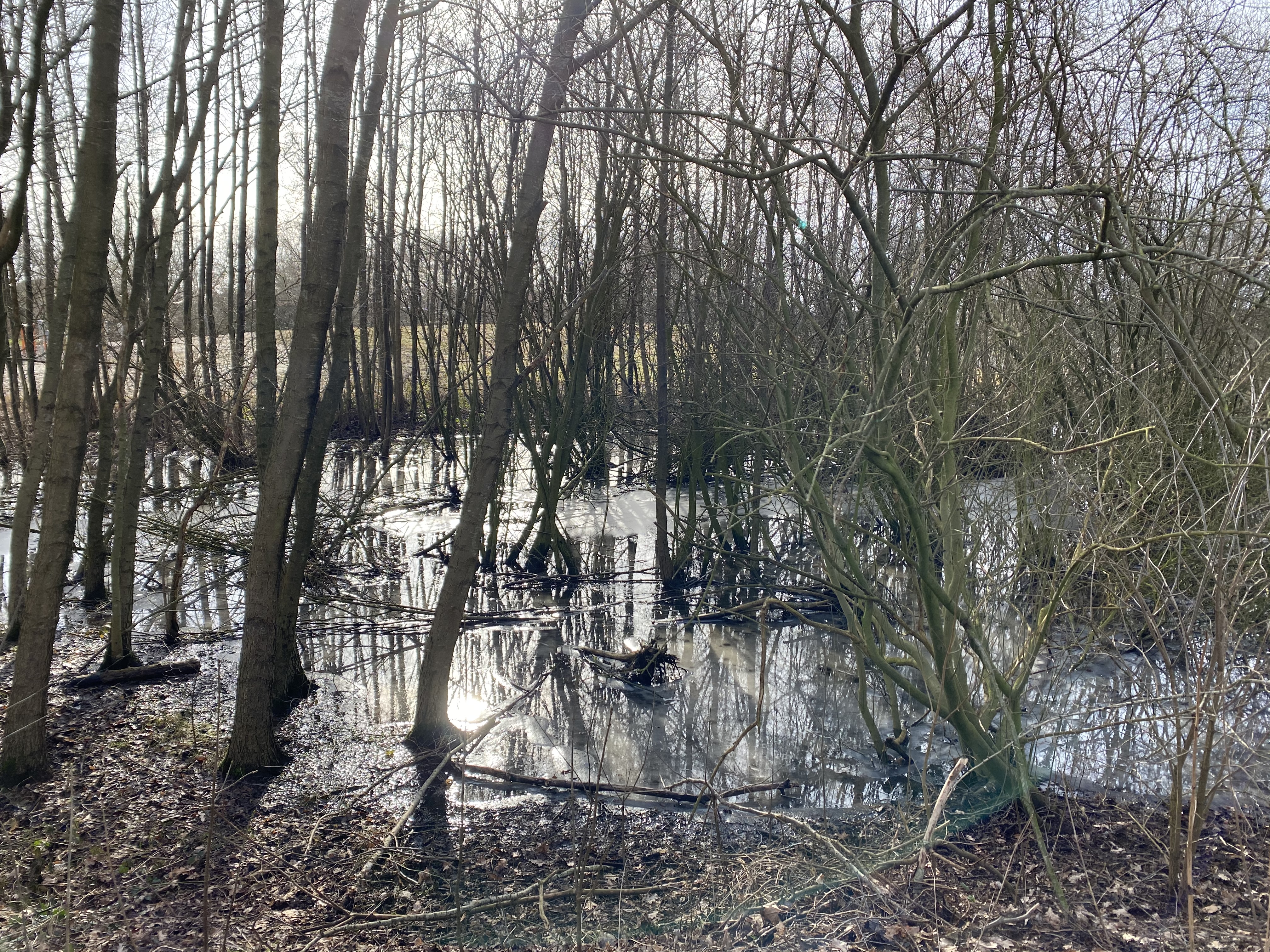 A656F620-B79E-42F5-8134-465CE1D257C6