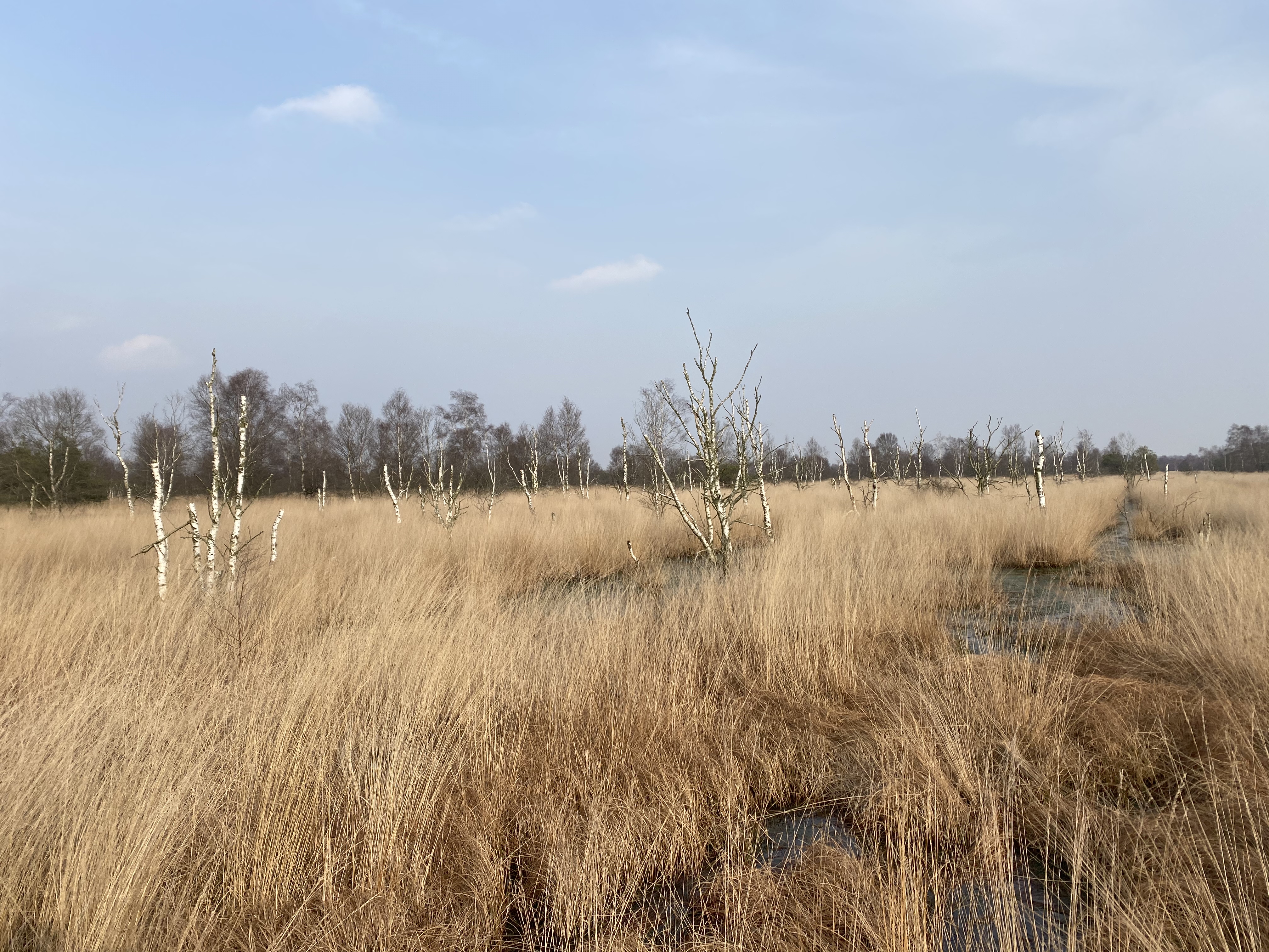 51000329372_55189e669f_o