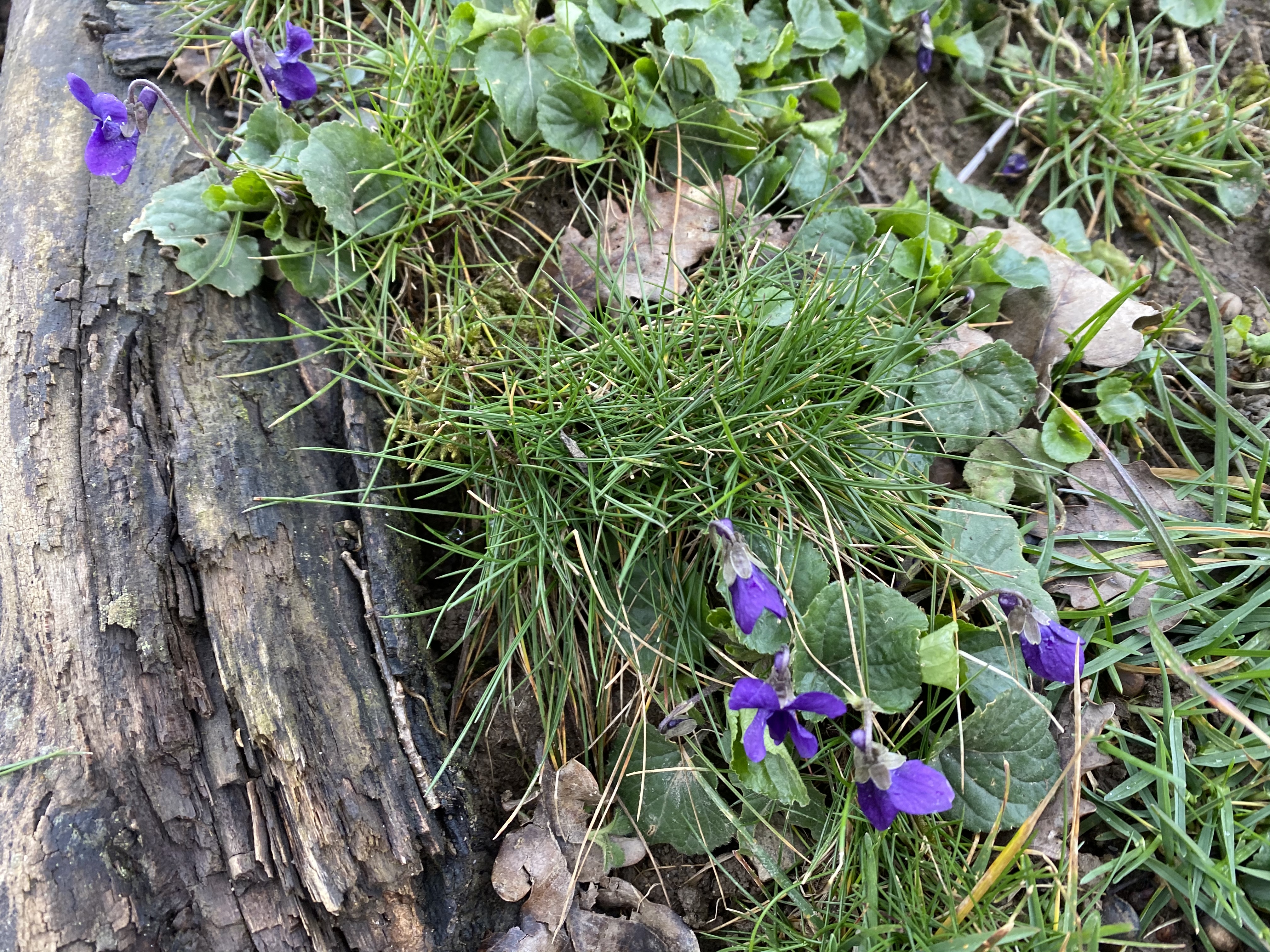 51036592281_54b99ef448_o