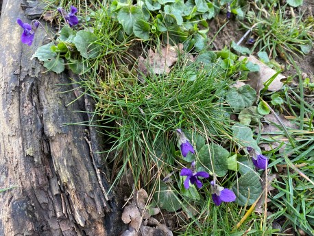 51036592281_54b99ef448_o