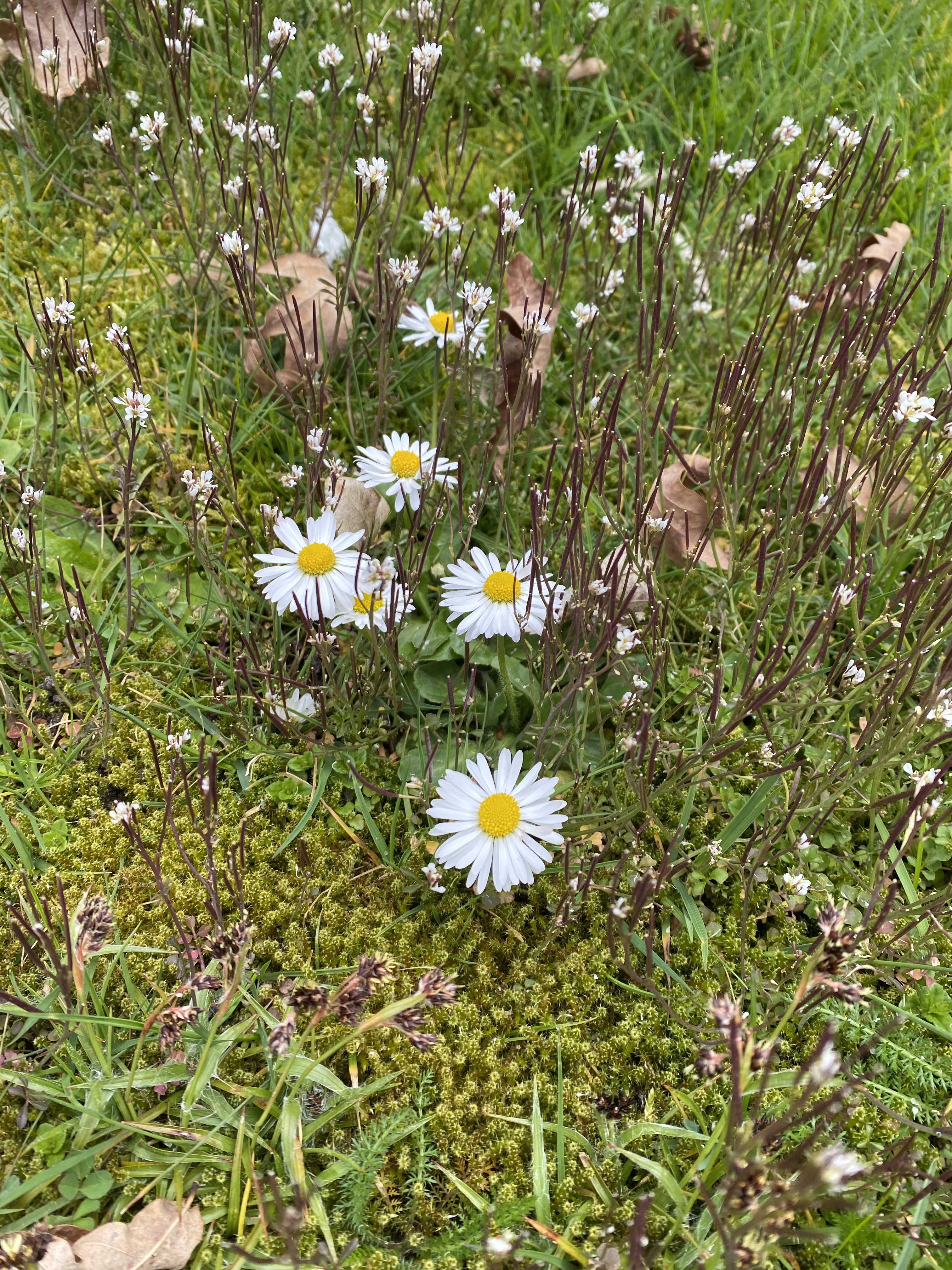 72817B44-91FB-4647-81EC-BA0B78F3E2F4