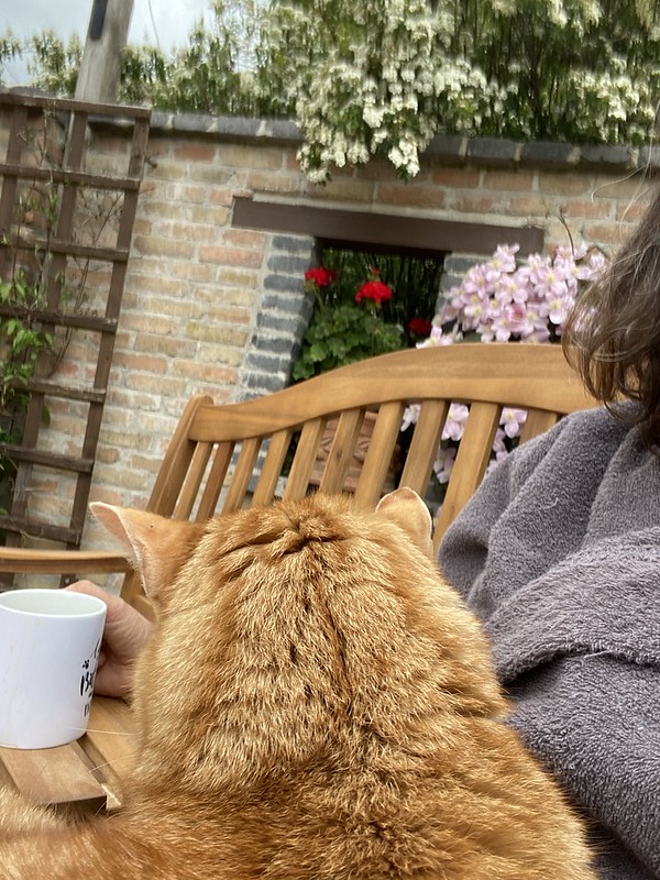 51199593141_ab86e6c447_c