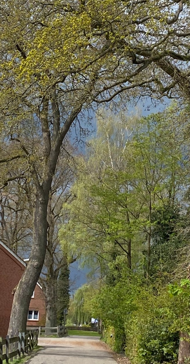 9336404A-7795-41CE-8B54-AF5B09BC4B79