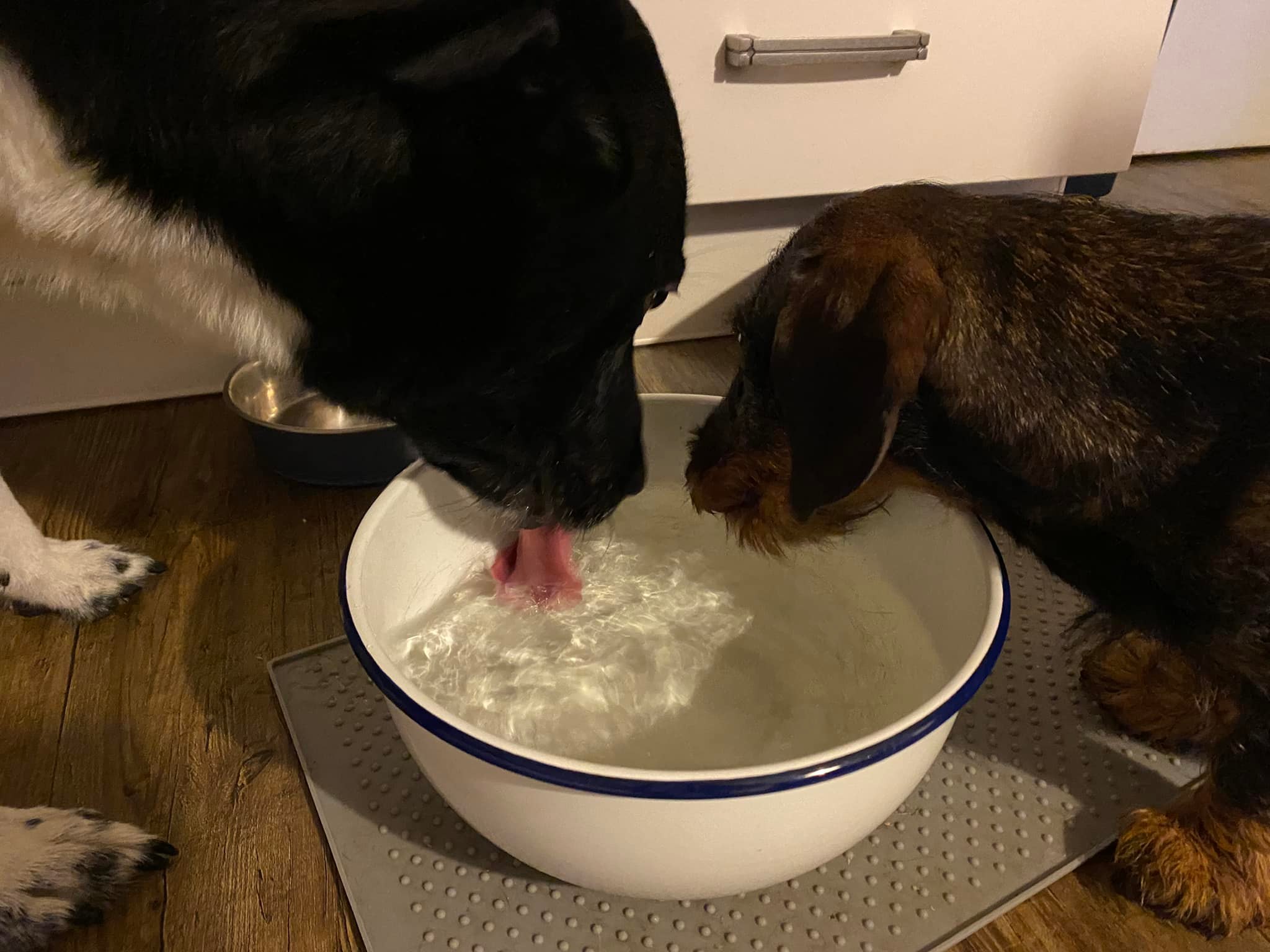 263014353_4661639320541537_3272944192919348673_n