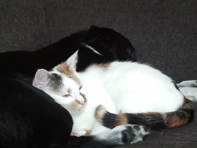 10641300_765082993530542_7764171741554288098_n