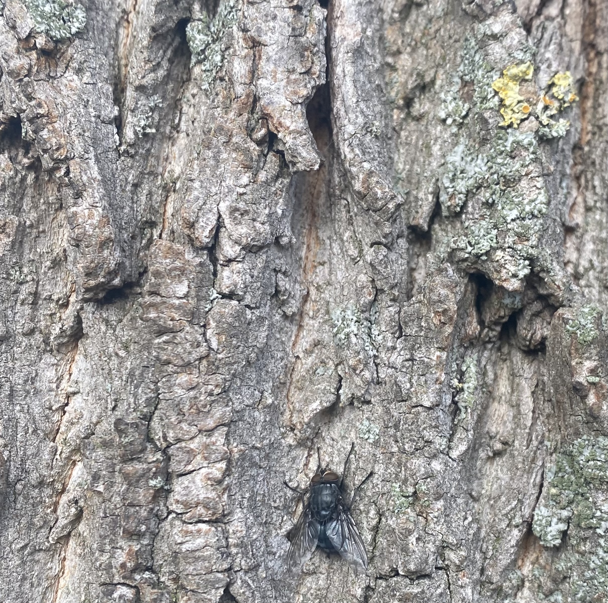 28026472-C13B-439E-A5CA-589118A8F8E6