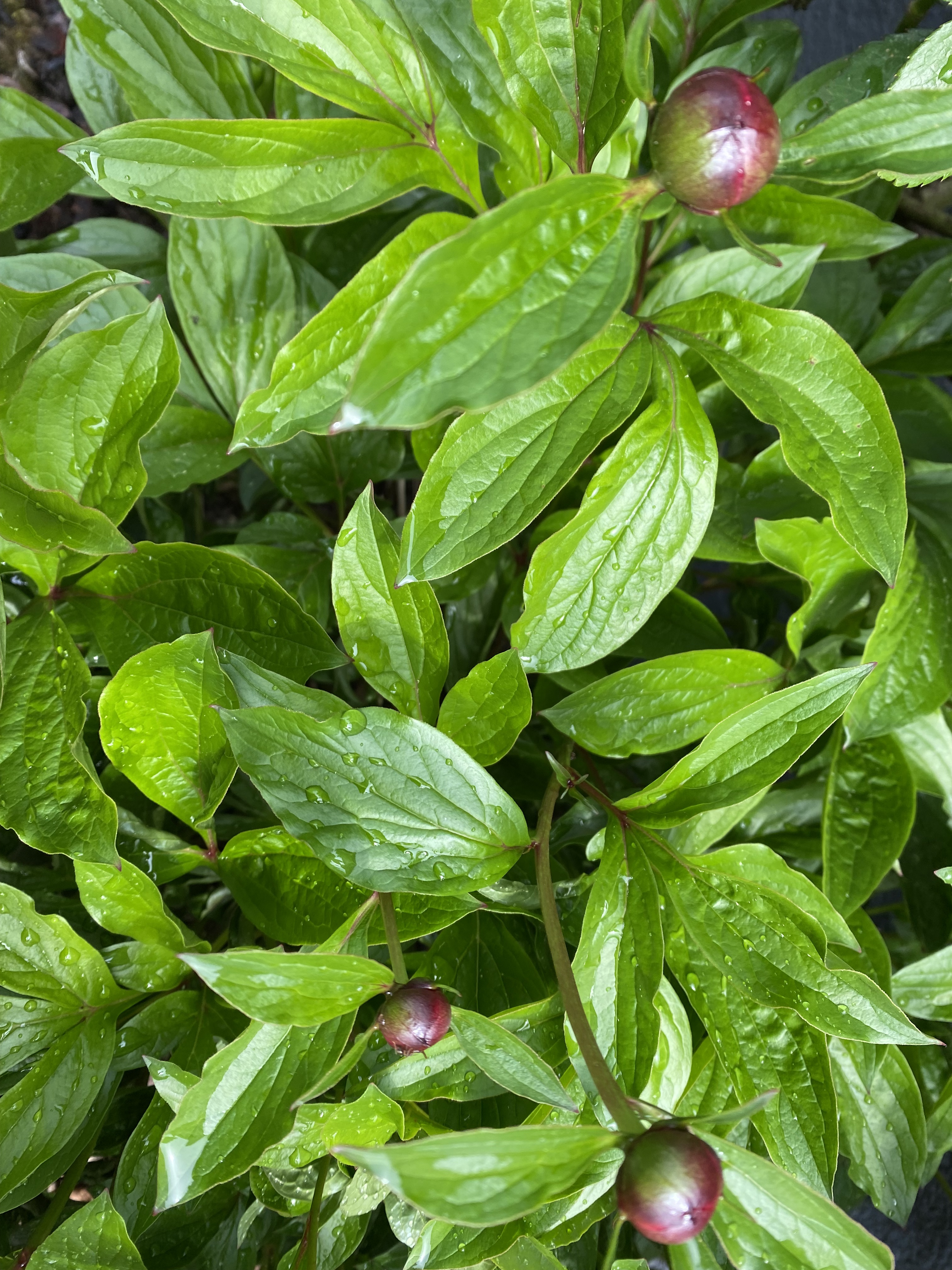 DB932ABC-5AE3-4084-8E38-70851472DEFC